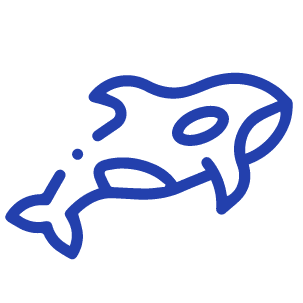 Orcas
