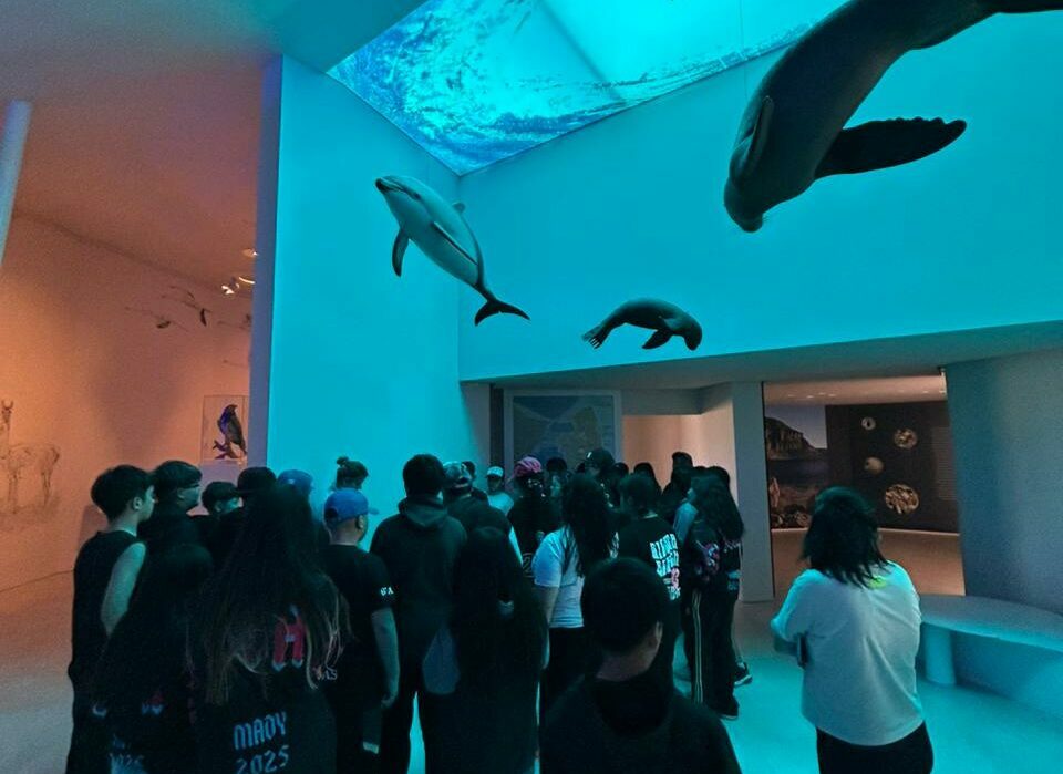 El Centro de Interpretación Istmo Carlos Ameghino reabrió sus puertas
